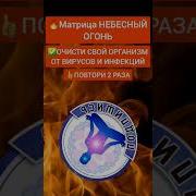 Медитация От Инфекций