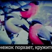 Снежок Порхает Кружится