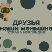Страна Мурляндия