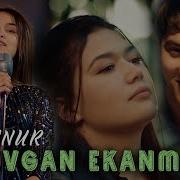 Nechun Sevgan Ekanman Gulinur