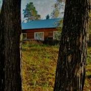 Осень Желтокосая