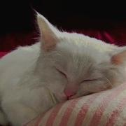 Колыбельна Hd Lullaby Елена Светлова