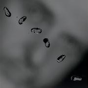 More Than This Peter Gabriel