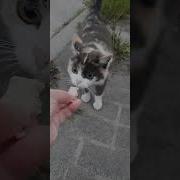 Как Давно Не Виделись