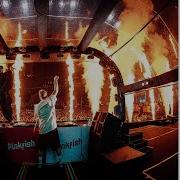 In Your Face Showtek Skink