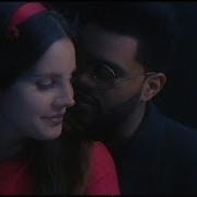 Lana Del Rey S Bereak Up Witn Sean Was The End Of World