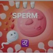 Tasty Cum Binaural
