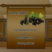 Вилдан Яруллин И Гульсум Бикбулатова