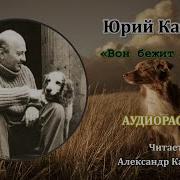 Юрий Казаков Вон Бежит Собака