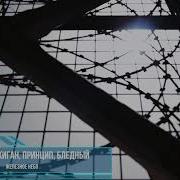 Центр Железное Небо