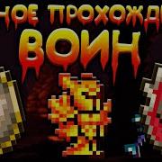 Прохождение Террарий Солнечноо