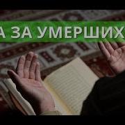 Молитва Мусульманская Для Усопших