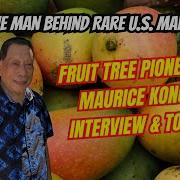 Tree A Legend