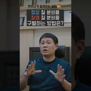여성 질 안
