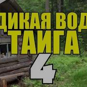 Промысел В Тайге