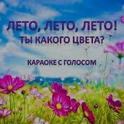 Лето Лето Лето Ты Какого Цвета