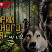 Деревенские И Лесные Истории