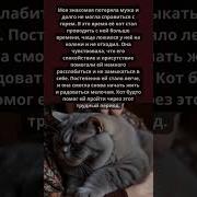 Рассказы О Животных