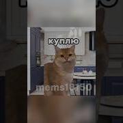 Мем Не Урыл А Зокопал