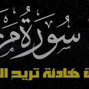 سورة مريم بلال دربالي