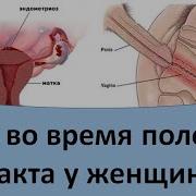Видео Секса Болит Внутри Вагины