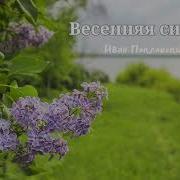 Иван Поклонский Весенняя Сирень
