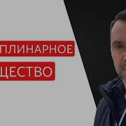 Арестович Дисциплинарное Общество