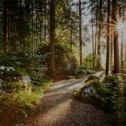 Nature Meditation Academy Music For Deep Sleep