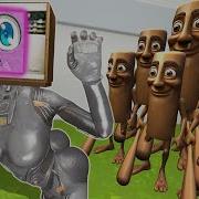 Tv Woman