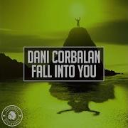Fall Into You Radio Edit Dani Corbalan