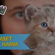 Ералаш Выпуск 297