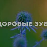 Самблиминал Ровные Зубы Иприкус