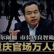 时事大家谈唐良智