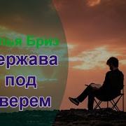 Аудиокнига Держава Под Зверем Илья Бриз