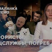 Песенка Тунеядцев Или Нелепый Закон