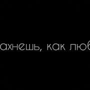 Ты Пахнешь Как Любовь
