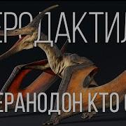 Где Ты Летала Птеродактиль