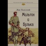 Толстой Булька Аудиосказка
