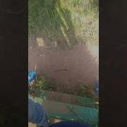 Песня Костя Далбаёп