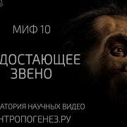 Происхождения Человека