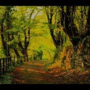 Exposure Original Mix Gareth Emery