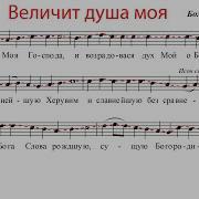 Нотный Разбор Чеснейшая Херувим Обиход