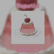 Illit Magnetic Speed Up And Echo
