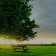 Шинэ Өглөө New Morning