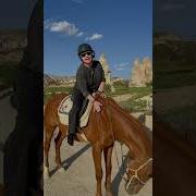 Женщина Лошадь