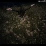 Ivoxygen Destruction Slowed