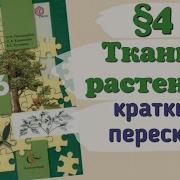 Биология 6 Класс Пономарева