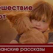 Путешествие Сирот Глава 1 Интересный Христианский Рассказ Христианские Рассказы