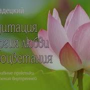 Медитация Гадецкий