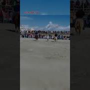 Ковбои Обучают Лошадь